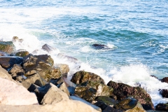 Waves in Montauk